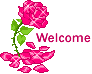 Rose Welcome